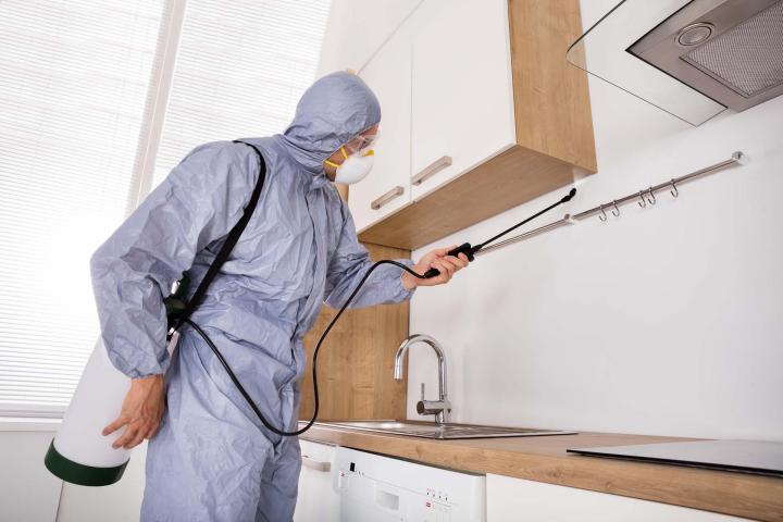 Nous éradiquons les rats pour vous assurer un environnement sain.